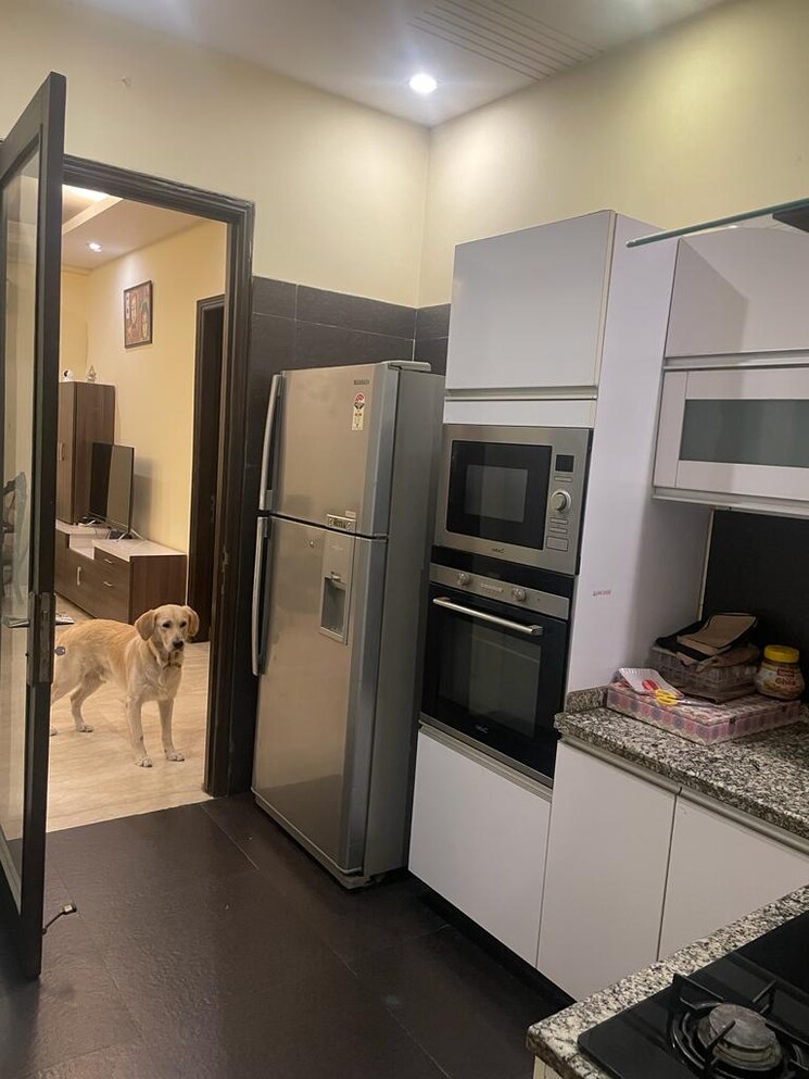 Kitchen, dlf-atria 3 Bedroom 300 Sq.Yd. Builder Floor In Dlf Phase ii Gurgaon 8957167