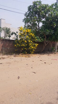 Plot For Sale in Basant City