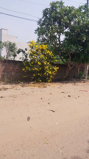  Plot For Sale in Basant City