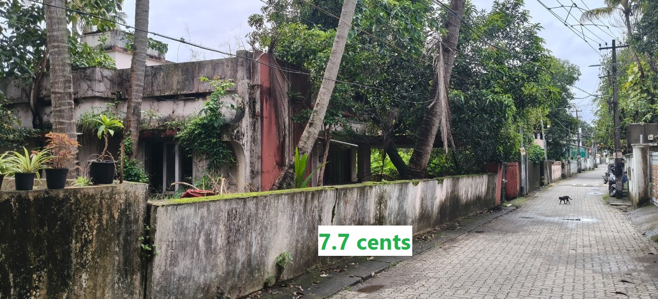 Plot For Sale in Elamkulam