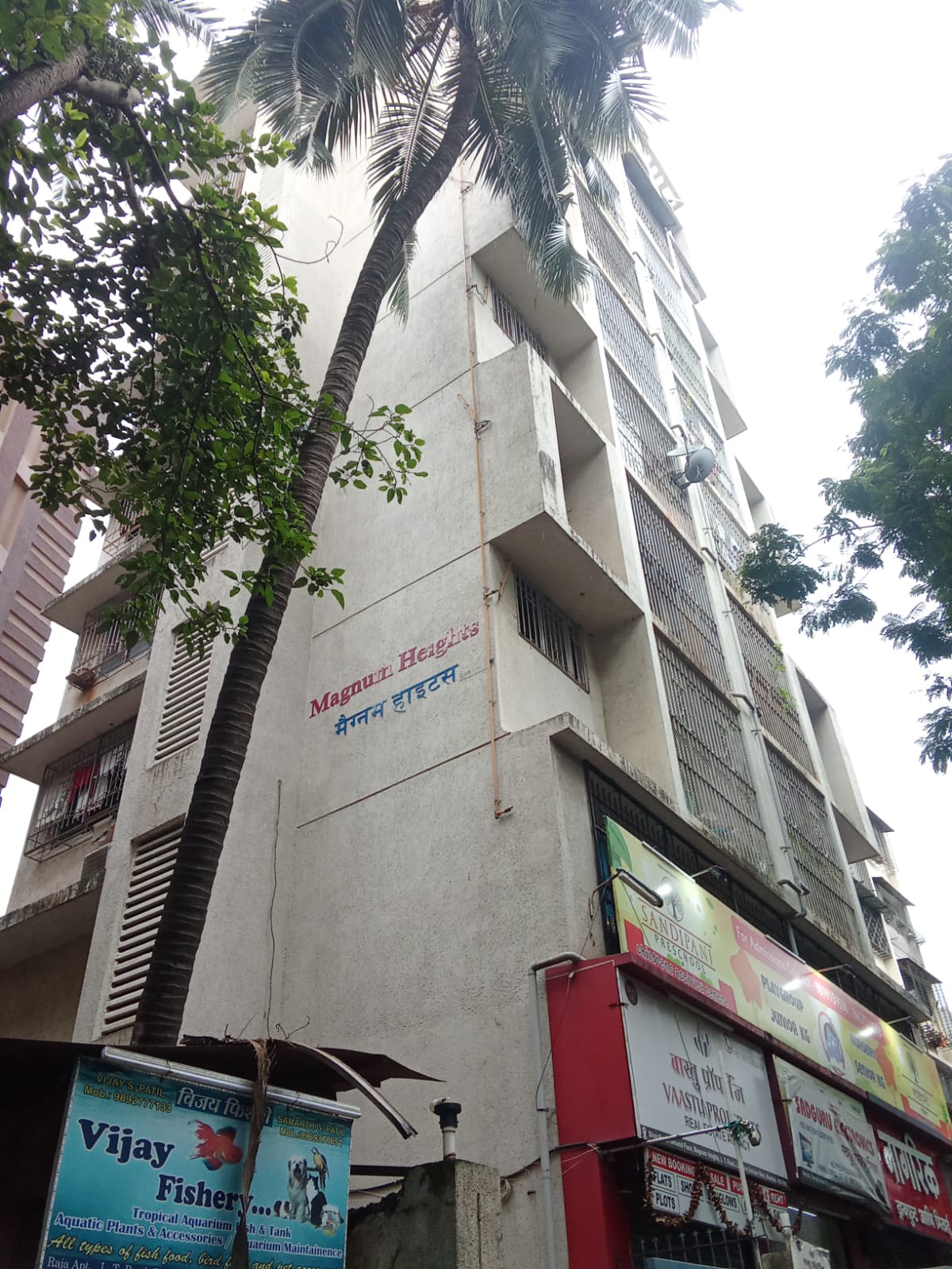 1 BHK Apartment For Rent in Magnum Heights