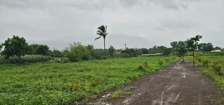 undefined, devlali  4500 Sq.Ft. Plot In Devlali Nashik 8957377