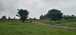 4500 Sq.Ft. Plot in Farm Plots