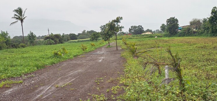undefined, devlali  4500 Sq.Ft. Plot In Devlali Nashik 8957377