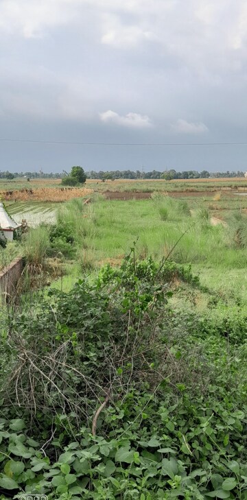 Plot Area in  Plot at Bakhtiyarpur – for Sale