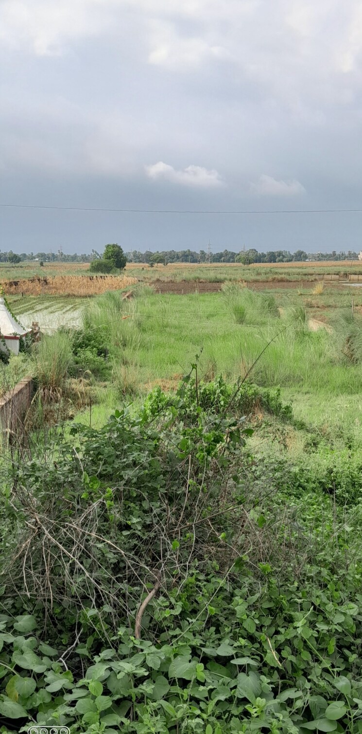 undefined, bakhtiyarpur  24498 Sq.Ft. Plot In Bakhtiyarpur Patna 8957505