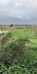 24498 Sq.Ft. Plot in Patna Bakhtiarpur Nh 98