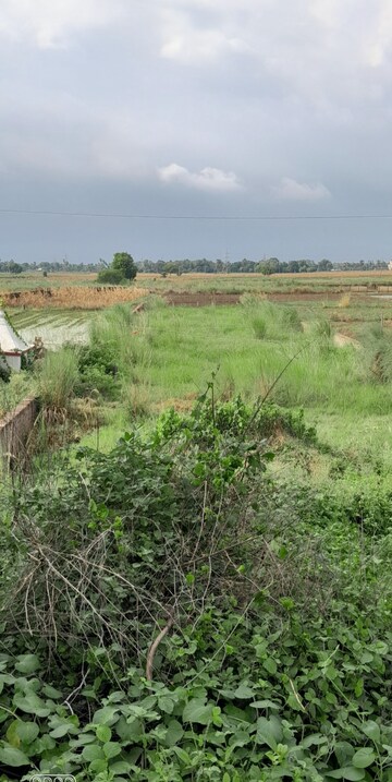  Plot For Sale in Bakhtiyarpur