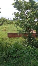 16332 Sq.Ft. Plot in Patna Bakhtiarpur Nh 98 K