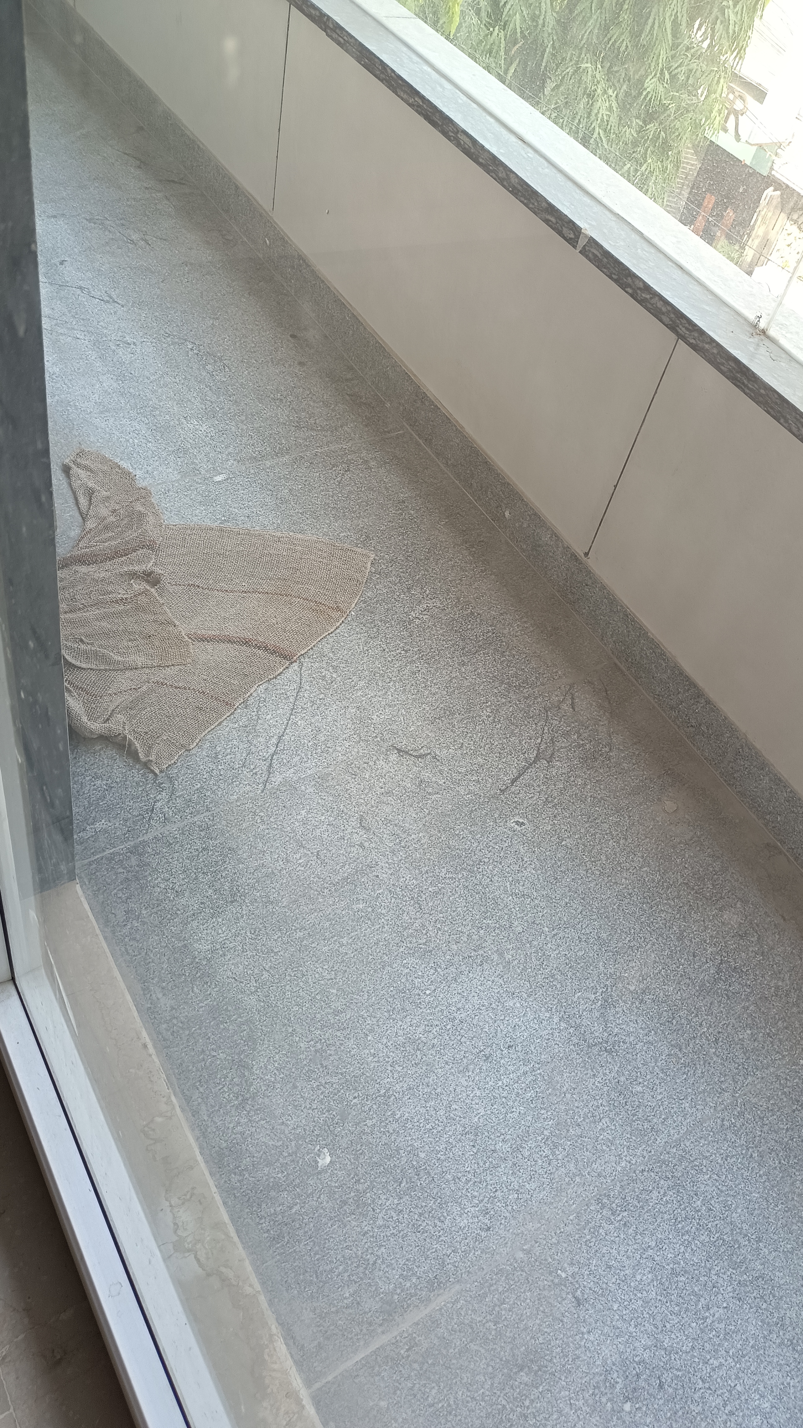 3 BHK + Pooja Room,Servant Room Builder Floor For Sale in New Rajinder Nagar