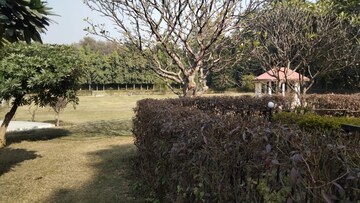 Plot Area in 3.5 BHK Villa at Vasant Kunj – for Rent