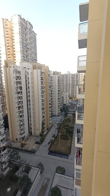 2 BHK Apartment For Rent in Aditya Urban Casa, Sector 78