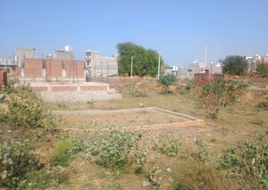  Plot For Sale in Sector 162