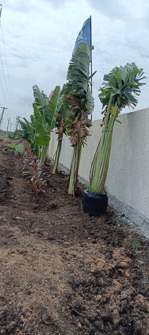  Plot For Sale in S M Heights Turkayamjal, Turkayamjal