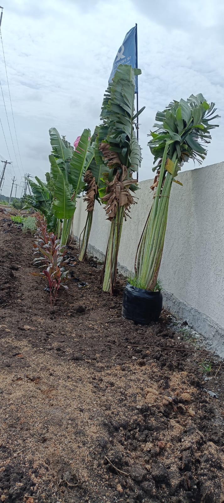 Plot For Sale in S M Heights Turkayamjal