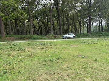 Plot Area in  Plot at Sherpur – for Sale