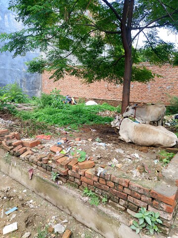  Plot For Sale in Gomti Nagar