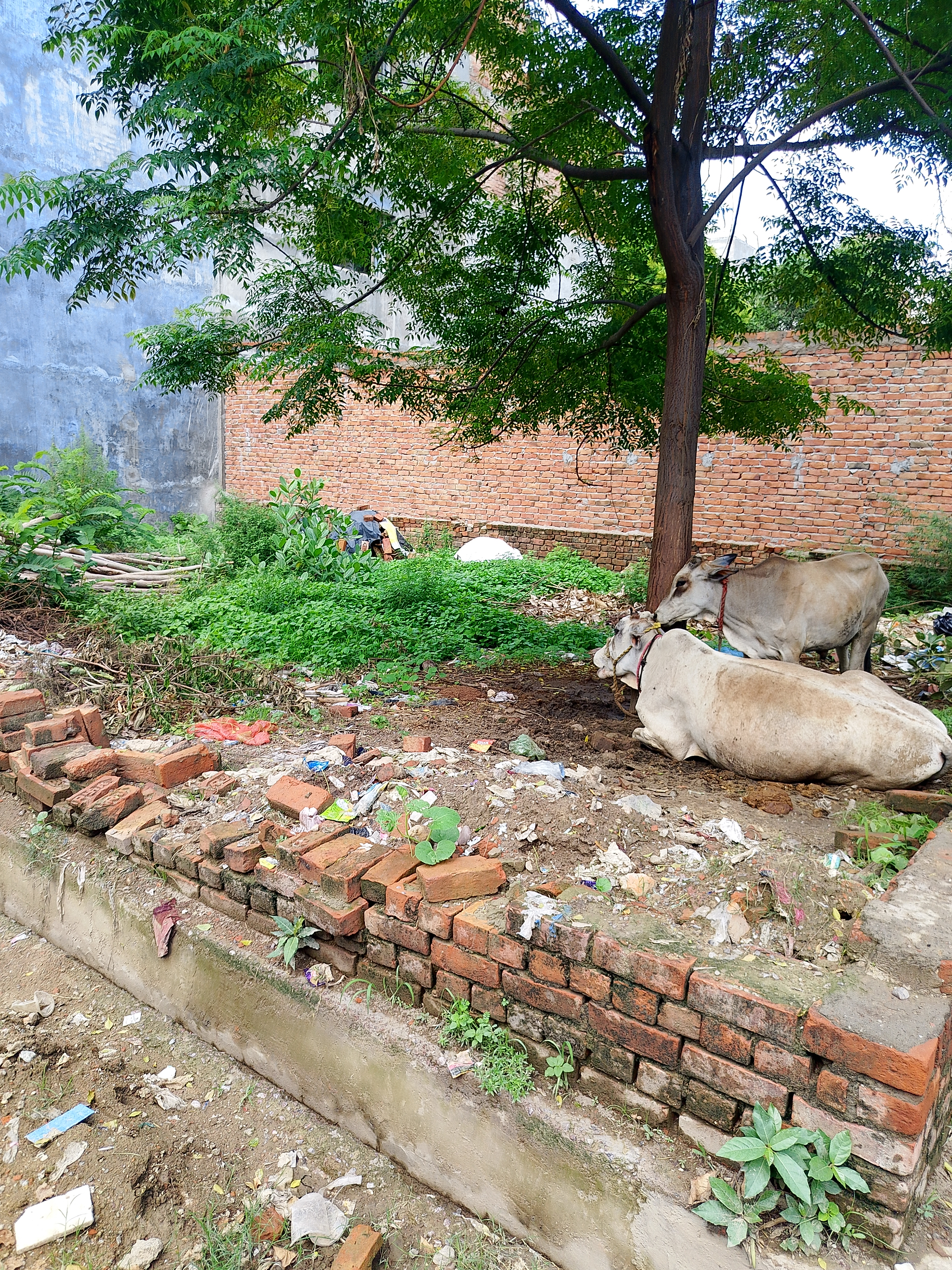 Plot For Sale in Gomti Nagar Extension Sec