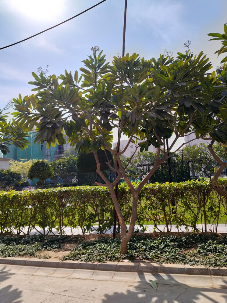 Garden, signature-global-park 2 Bedroom 745 Sq.Ft. Apartment In Sohna Sector 36 Gurgaon 8958261