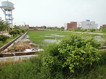  Plot For Sale in Borkhera