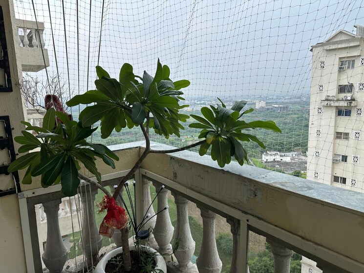 Balcony, nimbus-the-hyde-park 3 Bedroom 1320 Sq.Ft. Apartment In Sector 78 Noida 8958839