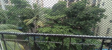 2 BHK Apartment – Garden View at Rashmi Tanmay, Mira Road - for Rent