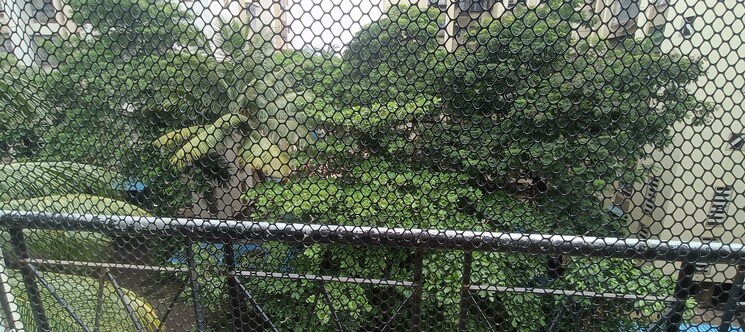 Garden, rashmi-tanmay 2 Bedroom 750 Sq.Ft. Apartment In Mira Road Thane 8959303