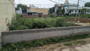 Plot Area in  Plot at Sector 142 – for Sale