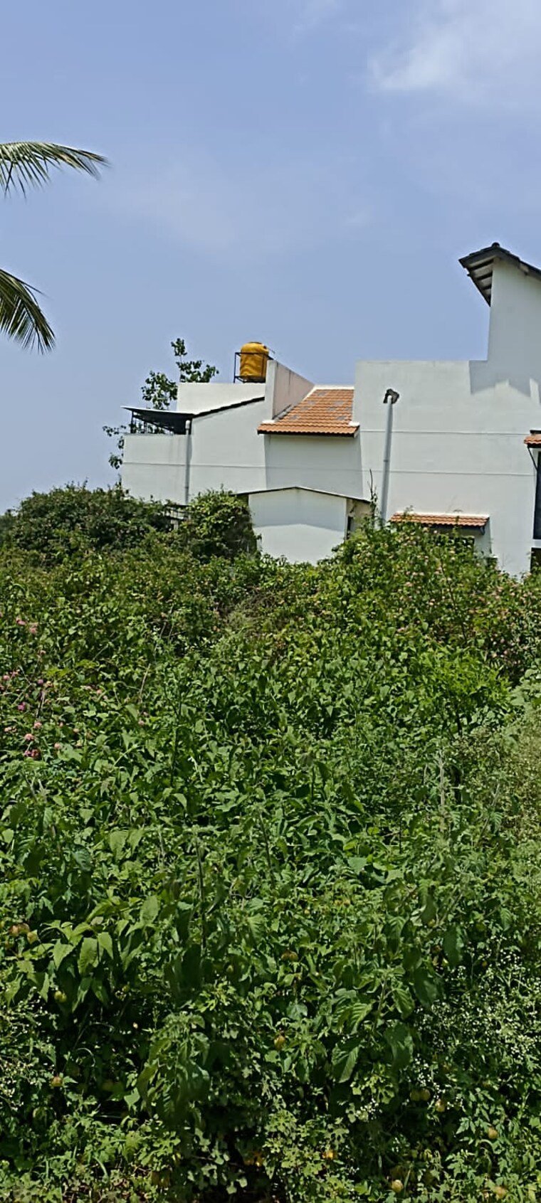 Exterior View, marsur  1500 Sq.Yd. Plot In Marsur Bangalore 8959529