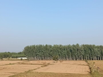Plot Area in  Plot at Herbertpur – for Sale