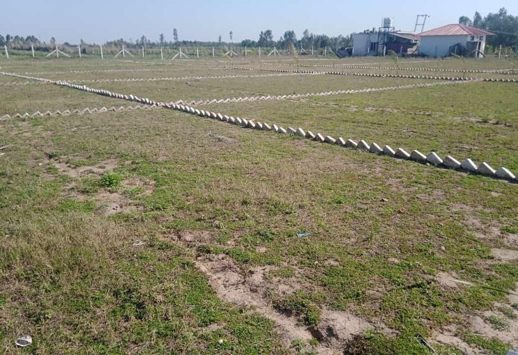 undefined, herbertpur  100 Sq.Yd. Plot In Herbertpur Dehradun 8959692