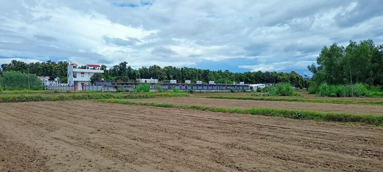 undefined, herbertpur  100 Sq.Yd. Plot In Herbertpur Dehradun 8959692