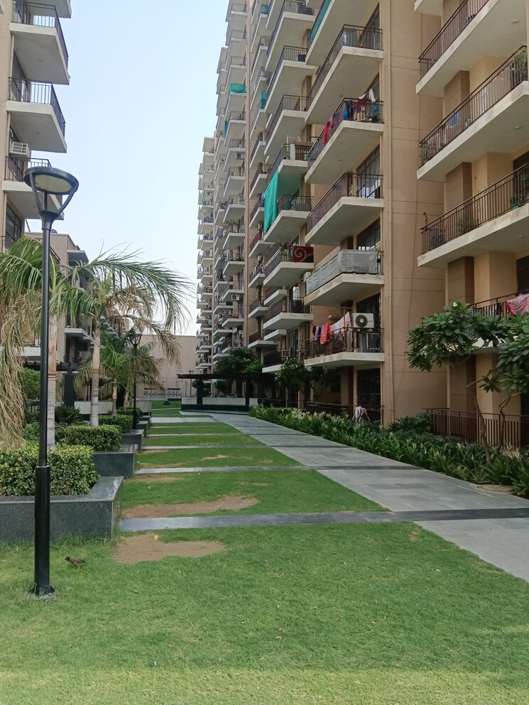 Exterior View, signature-global-synera 2 Bedroom 735 Sq.Ft. Apartment In Sector 81 Gurgaon 8959824