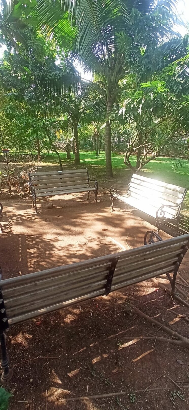 Balcony, borivali west 1 Bedroom 425 Sq.Ft. Apartment In Borivali West Mumbai 8959893