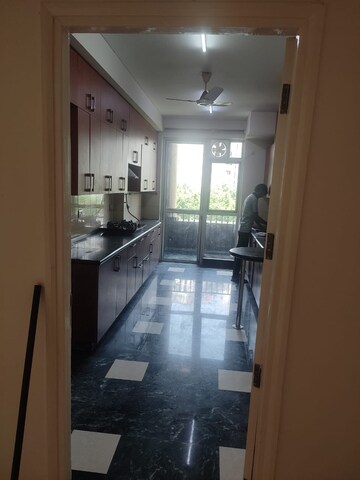 Kitchen in 4 BHK Apartment at DLF Westend Heights, Sector 53 – for Rent