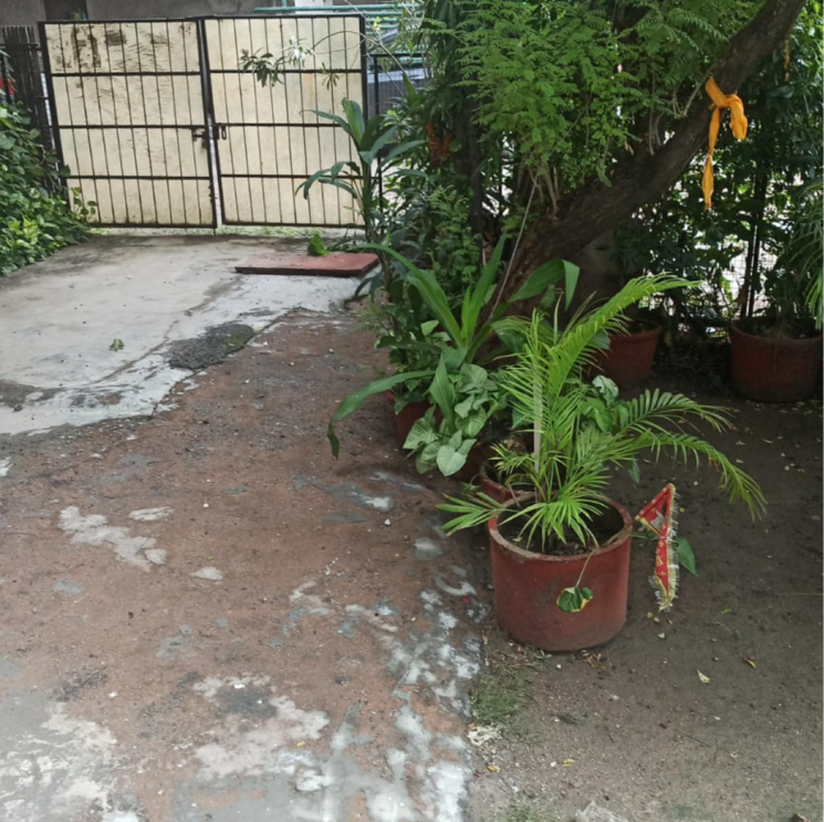  Parking, rwa-jalvayu-vihar-noida 1.5 Bedroom 900 Sq.Ft. Apartment In Sector 25 Noida 8959962