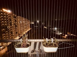Balcony in 3 BHK Apartment at Vesu – for Sale