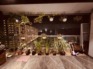 Balcony in 3 BHK Apartment at Vesu – for Sale