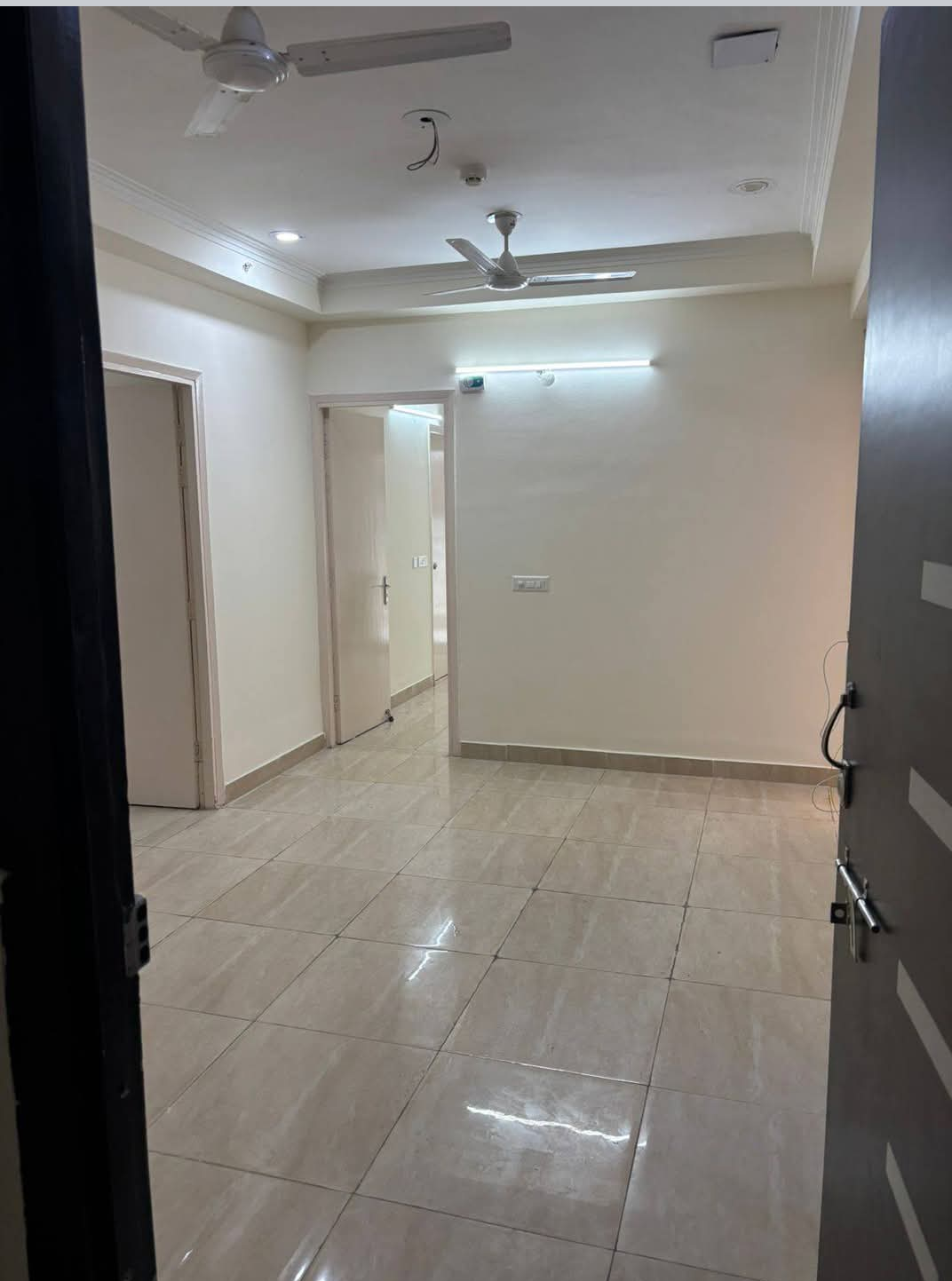 2 BHK Apartment For Rent in Gaur City 7th Avenue