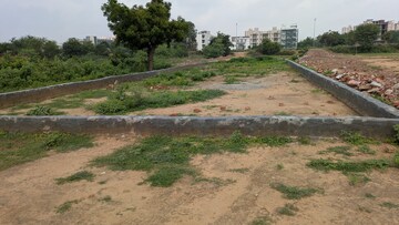  Plot For Sale in New Friends Colony