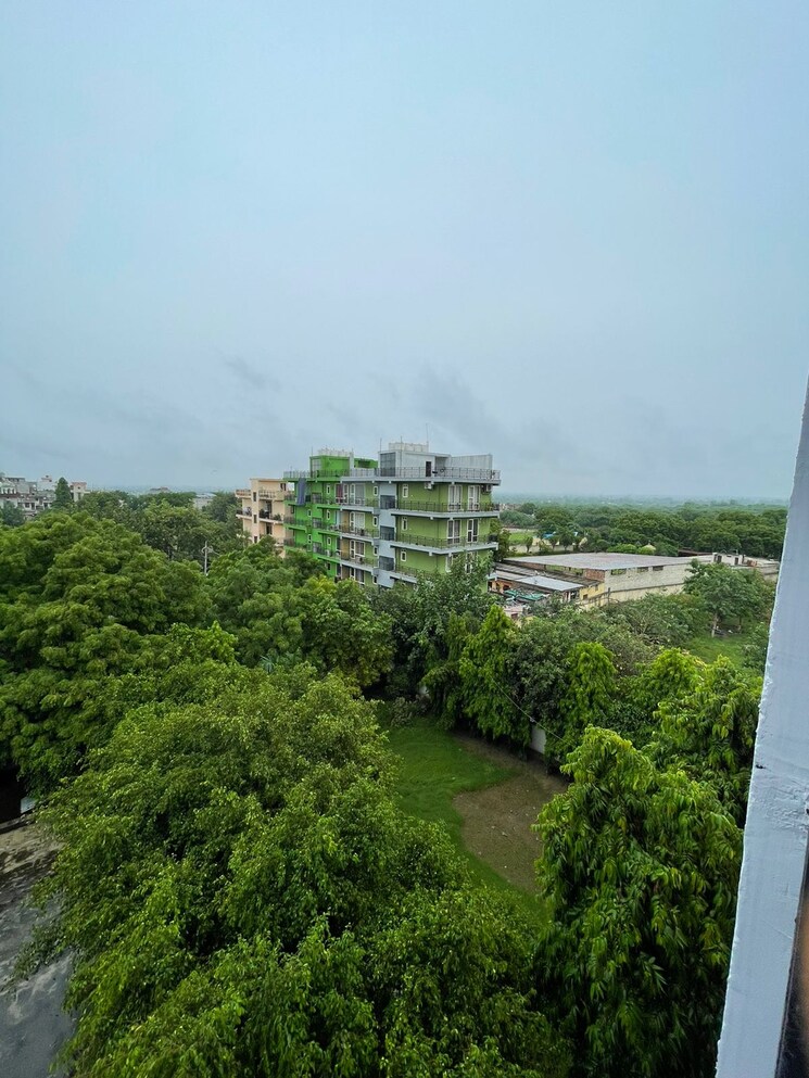 Garden, saket 1 Bedroom 500 Sq.Ft. Builder Floor In Saket Delhi 8960334