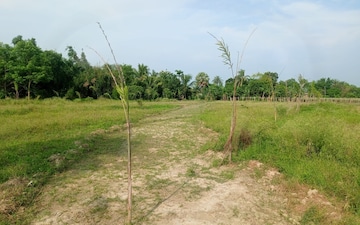 Plot For Sale in Kolkatta Gpo