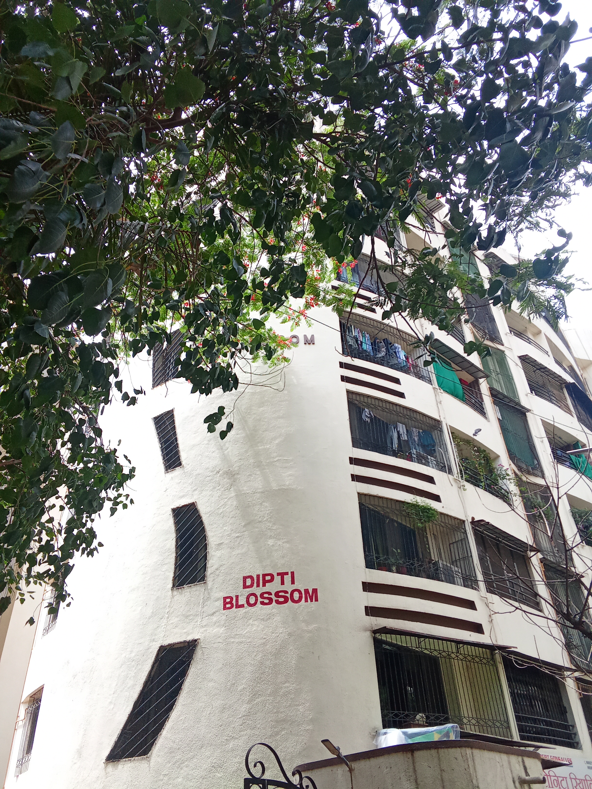 1 Rk  485 Sq.Ft. Apartment in Dipti Blossom