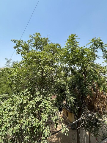 3 BHK Builder Floor – Garden View at Palm Residency Chhatarpur, Chattarpur - for Rent