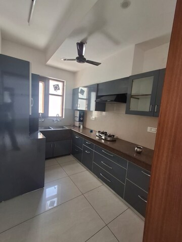Kitchen in 2 BHK Builder Floor at Sector 21 – for Rent