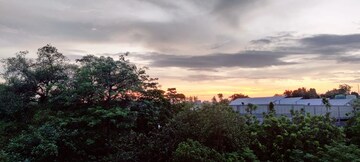  Plot For Sale in Sai Homes Sector 49, Sector 49