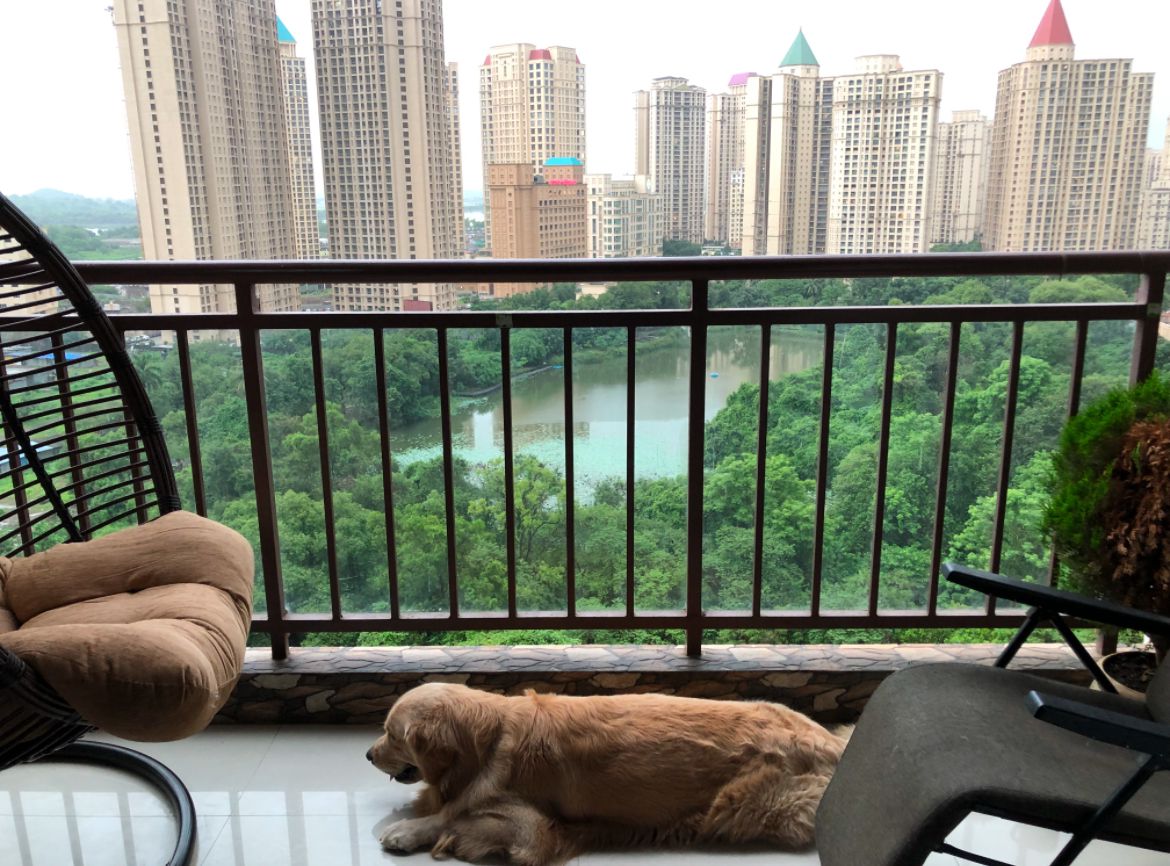 2.5 BHK 836 Sq.Ft. Apartment in Uma Sparta