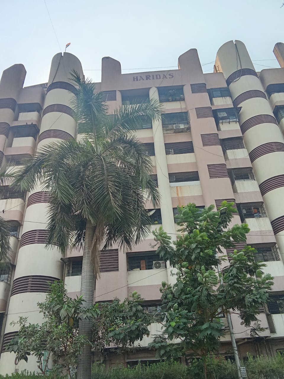 1 BHK Apartment For Rent in New Haridas Park CHS