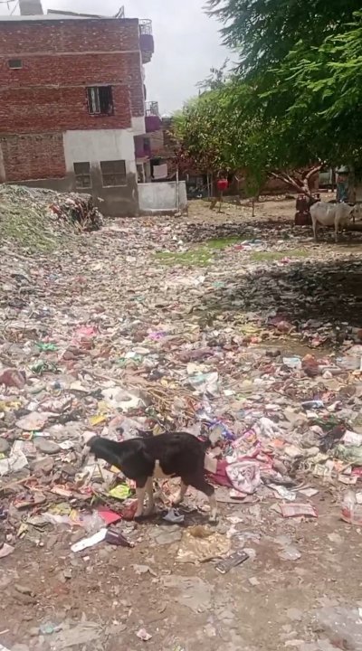 Plot For Sale in Pandeypur