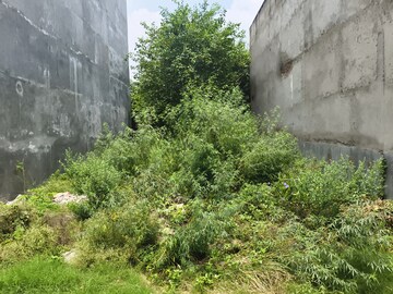  Plot For Sale in Sharda Nagar
